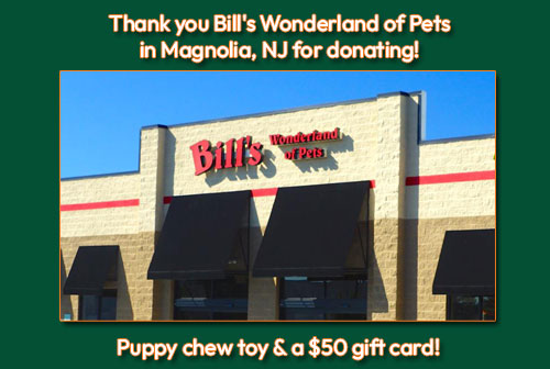 Thank you Bill's Wonderland of Pets in Magnolia, NJ for donating a puppy chew toy and a $50 gift card